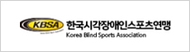 한국시각장애인스포츠연맹(IBSA)